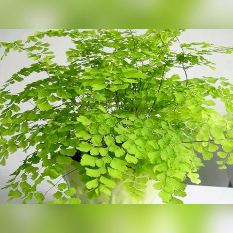 空气质量在线监测平台的简单介绍 空气质量在线监测平台的简单介绍
