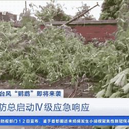 湛江天气预报15天查询(广州湛江天气预报15天查询) 湛江天气预报15天查询(广州湛江天气预报15天查询)
