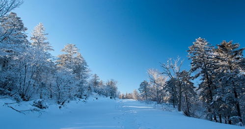 永吉县天气预报(永吉县天气预报7天) 永吉县天气预报(永吉县天气预报7天)