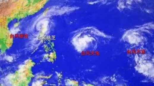 2024台风最新消息（2021年24号台风最新动态）