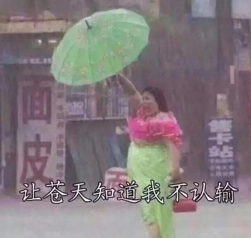 榆树天气预报(榆树天气预报几点下雨) 榆树天气预报(榆树天气预报几点下雨)
