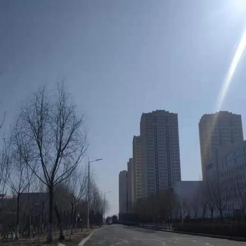 春节期间哈尔滨天气预报2025(哈尔滨天气预报日历) 春节期间哈尔滨天气预报2025(哈尔滨天气预报日历)