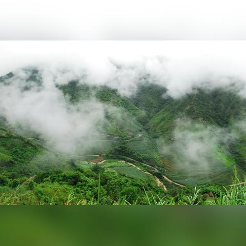 云南6月份是雨季吗(云南6月份是雨季吗还是晴天) 云南6月份是雨季吗(云南6月份是雨季吗还是晴天)