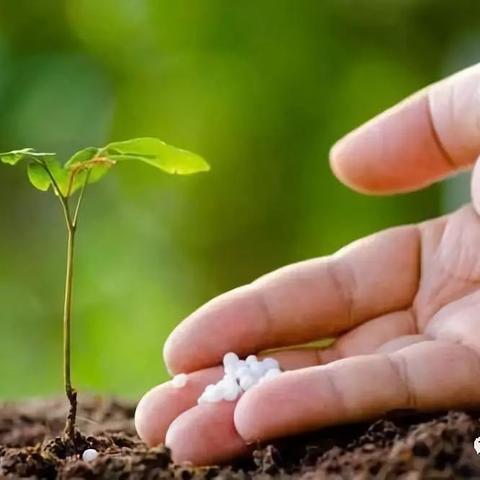 今年华北地区雨量预测（华北今年降雨量）