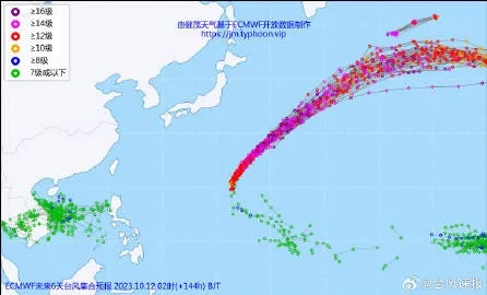 ecmwf台风集合预报（ec台风预测）