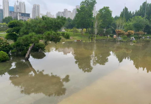 河南近期雨水(河南近期雨水多吗) 河南近期雨水(河南近期雨水多吗)