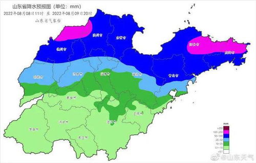 山东聊城天气预报(山东聊城天气预报40天查询) 山东聊城天气预报(山东聊城天气预报40天查询)