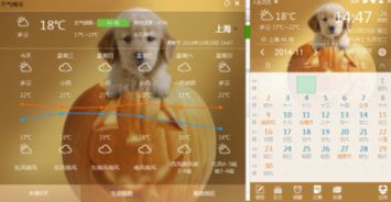 上海未来15天天气预报的简单介绍 上海未来15天天气预报的简单介绍