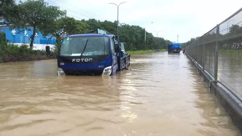 中山暴雨预警最新消息（中山暴雨水浸）