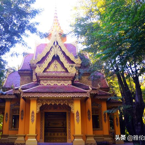 西双版纳天气(西双版纳天气五一) 西双版纳天气(西双版纳天气五一)