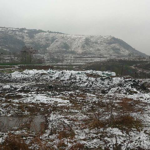 河南将迎大风大雪天气(河南大风降温温馨提示) 河南将迎大风大雪天气(河南大风降温温馨提示)