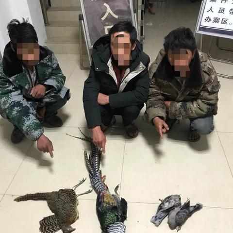 宣威天气预报(威宁天气预报) 宣威天气预报(威宁天气预报)